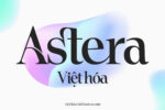 DVN Astera Việt hóa - Font chữ Serif thời thượng phù hợp cho thương hiệu cao cấp