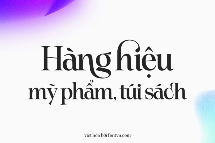 DVN Astera Việt hóa - Font chữ Serif thời thượng phù hợp cho thương hiệu cao cấp - Ảnh 2