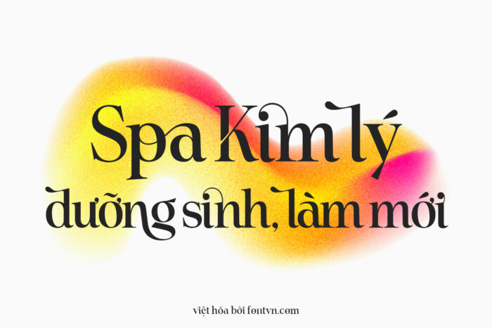 DVN Astera Việt hóa - Font chữ Serif thời thượng phù hợp cho thương hiệu cao cấp - Ảnh 3