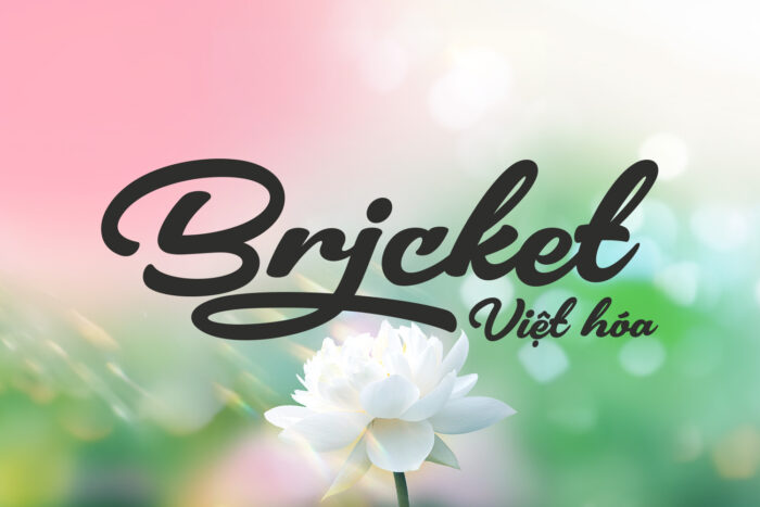 DVN Bricket Việt Hóa - Font Chữ Thư Pháp Hiện Đại và Cuốn Hút - Ảnh 2