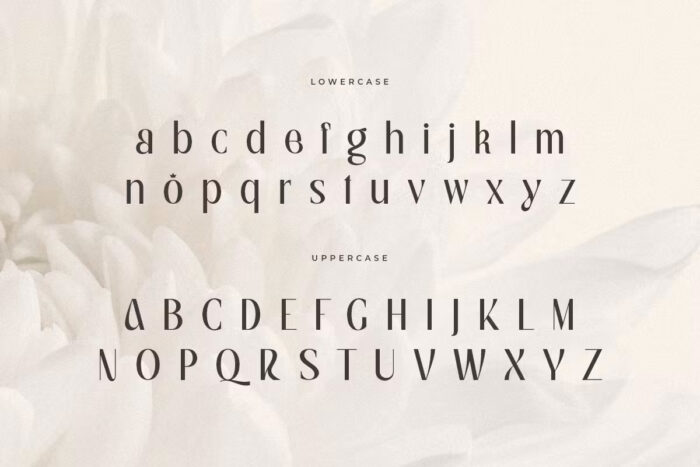 royal-vh-1 DVN Royal Việt hóa - Font chữ Serif sang trọng, phong cách hoàng gia - Ảnh 3