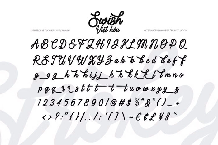 DVN Swish - Font chữ Việt hóa uyển chuyển và mềm mại - Ảnh 2