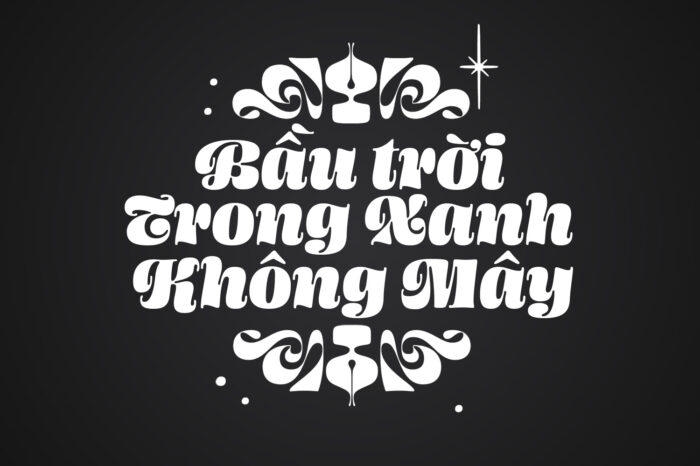 DVN Lively Việt hóa - Font chữ Script vui tươi thích hợp làm thiệp mời, typography - Ảnh 2