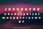 DVN Lively Việt hóa - Font chữ Script vui tươi thích hợp làm thiệp mời, typography - Ảnh 3