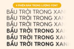 Bộ font Visby Round CF Việt hóa - Font chữ nét tròn trịa tuyệt đẹp - Ảnh 3