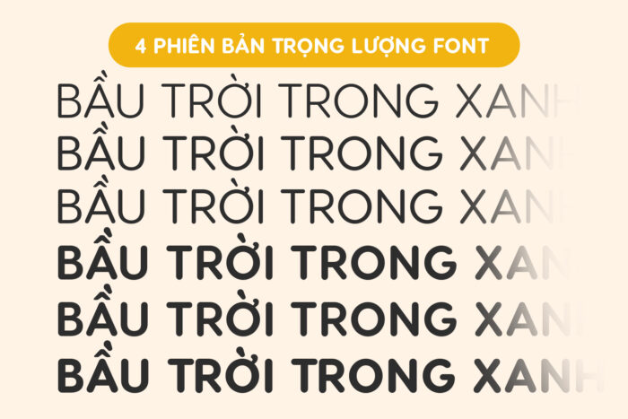 Bộ font Visby Round CF Việt hóa - Font chữ nét tròn trịa tuyệt đẹp - Ảnh 3
