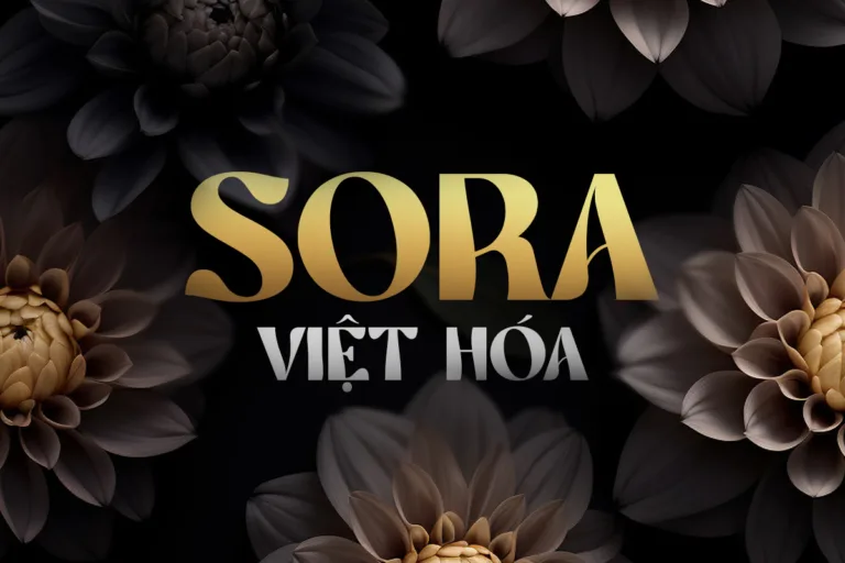 sora-vh