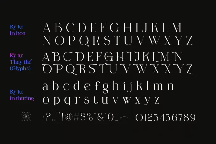 DVN Belight Việt hóa - Font chữ nét mỏng sang trọng và tinh tế - Ảnh 3