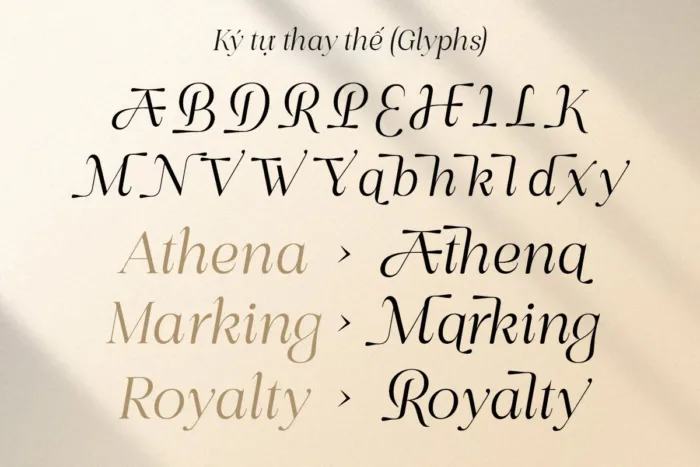 bling-glyphs DVN Bling Việt hóa - Font chữ Serif nét nghiêng sang trọng và quý phái - Ảnh 3