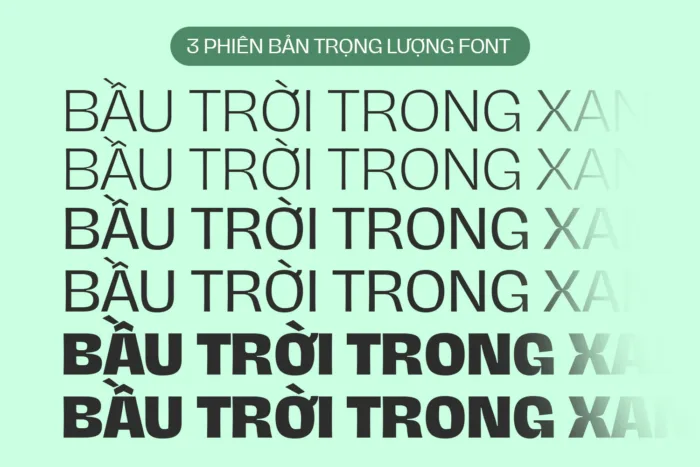 Bộ font DVN Hagrid Việt hóa - Nét chữ thanh mãnh tinh tế, kiểu dấu thế hệ mới mang xu hướng hiện đại (3 Style) - Ảnh 2