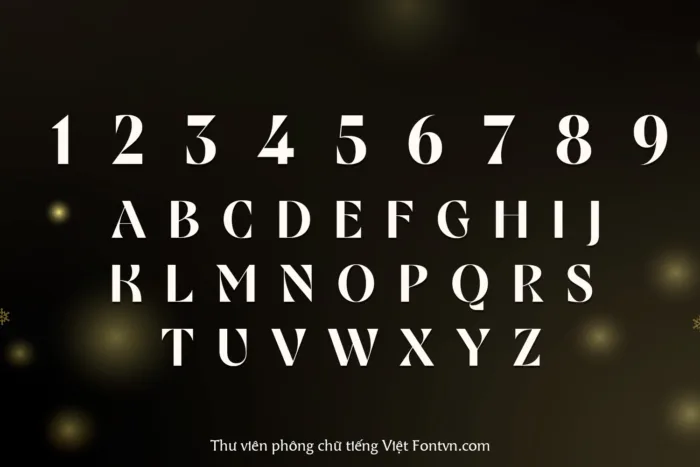 DVN Aurelia Việt hóa - Font chữ Serif sang trọng, hoàng gia - Ảnh 3