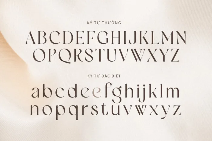 DVN Qiolany Việt hóa - Font chữ Serif phong cách sang trọng - Ảnh 3