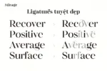 DVN Mirage Việt hóa - Font chữ Serif cao cấp (2 Style) - Ảnh 4