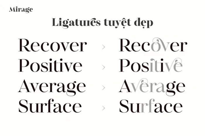 DVN Mirage Việt hóa - Font chữ Serif cao cấp (2 Style) - Ảnh 4