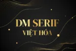DM Serif Display Việt hóa - Font chữ cổ điển