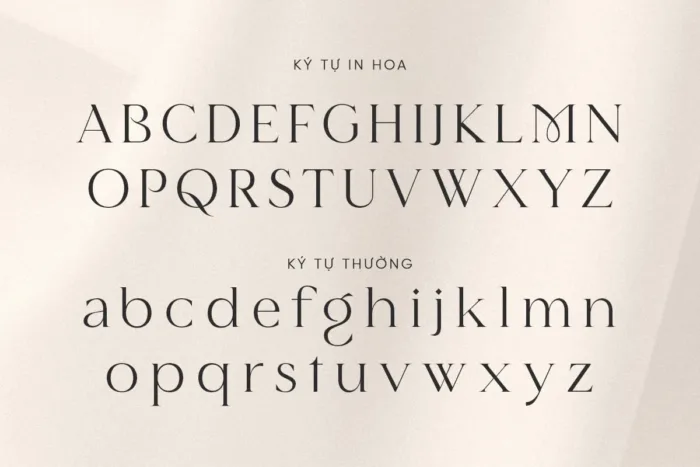 DVN Maelis Việt hóa - Font Serif chữ mỏng và tinh tế - Ảnh 3