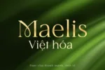 DVN Maelis Việt hóa - Font Serif chữ mỏng và tinh tế