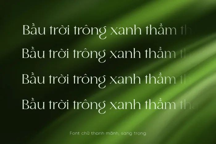 DVN Maelis Việt hóa - Font Serif chữ mỏng và tinh tế - Ảnh 2