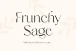 DVN Frunchy Sage Việt hóa - Font chữ cách tân tinh tế trong từng chi tiết