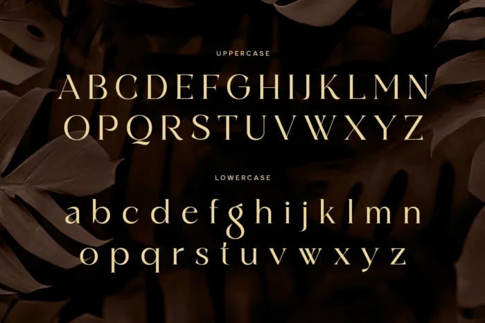 DVN Mongro – Font hiện đại pha chút cổ điển đầy tinh tế với nhiều biến thể uốn lượn đẹp mắt - Ảnh 3