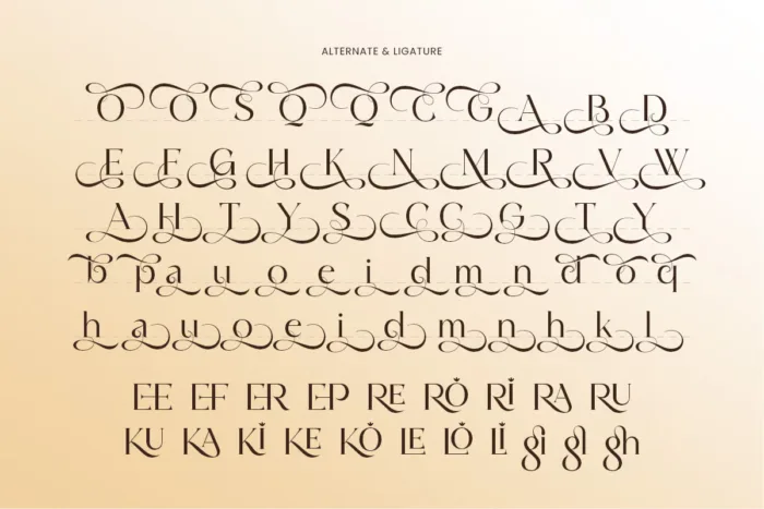 DVN Mongro – Font hiện đại pha chút cổ điển đầy tinh tế với nhiều biến thể uốn lượn đẹp mắt - Ảnh 5