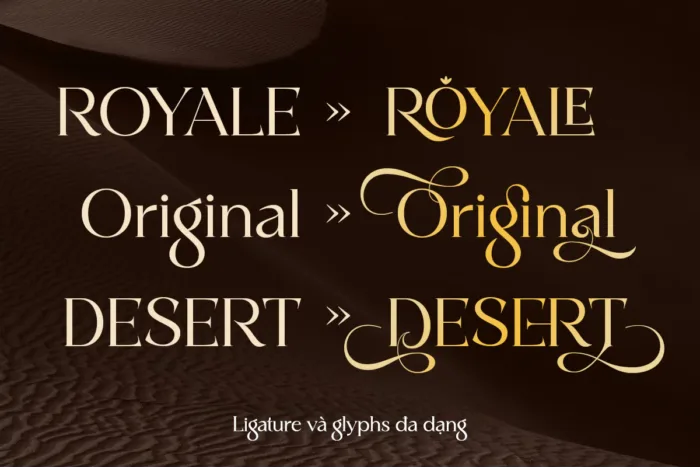DVN Mongro – Font hiện đại pha chút cổ điển đầy tinh tế với nhiều biến thể uốn lượn đẹp mắt - Ảnh 4