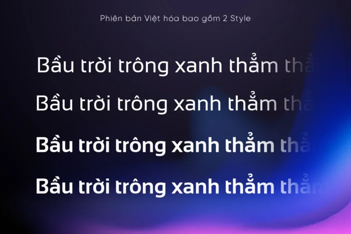 DVN Sansation Việt hóa - Font chữ không chân thân thiện và hiện đại (2 Style) - Ảnh 2
