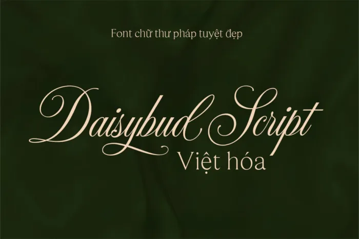 vh-1 DVN Daisybud Script Việt hóa - Font chữ thư pháp tuyệt đẹp phiên bản sữa lỗi dấu và đủ bộ số - Ảnh 1