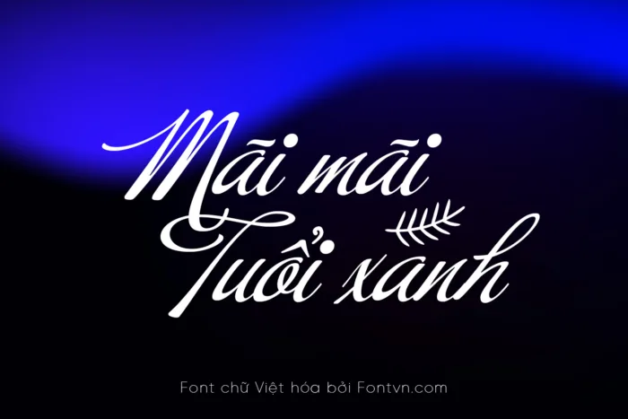 DVN Buffet Script - Font Việt hóa với nét chữ uốn lượn thanh thoát và cực kỳ tinh tế - Ảnh 3