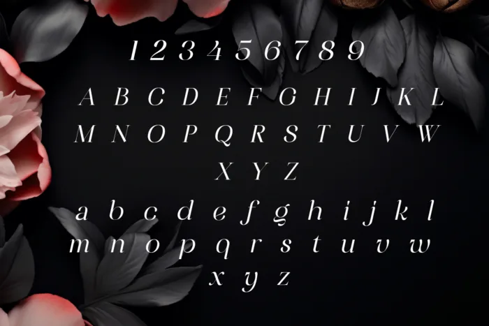 DVN Diva Việt Hóa – Font chữ uốn lượn thanh thoát và quyến rũ đúng chất ‘Diva’ - Ảnh 2