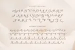 DVN Diva Việt Hóa – Font chữ uốn lượn thanh thoát và quyến rũ đúng chất ‘Diva’ - Ảnh 3