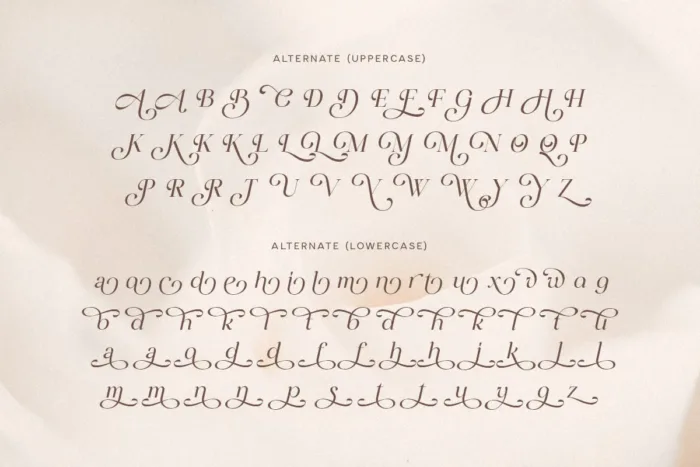 DVN Diva Việt Hóa – Font chữ uốn lượn thanh thoát và quyến rũ đúng chất ‘Diva’ - Ảnh 3