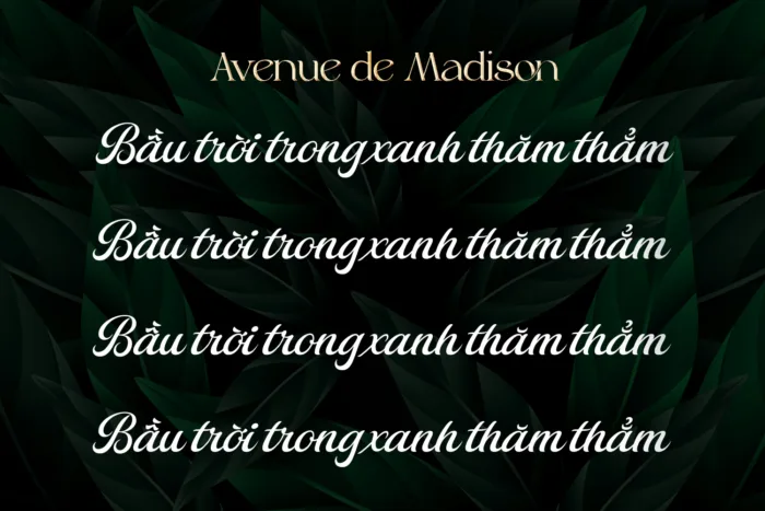 DVN Avenue de Madison Việt hóa – Font chữ Viết tay thanh lịch, mềm mại cuốn hút - Ảnh 3