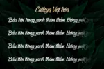 DVN - Catleya Signature Việt hóa: Font chữ ký tay sang trọng và tinh tế - Ảnh 3