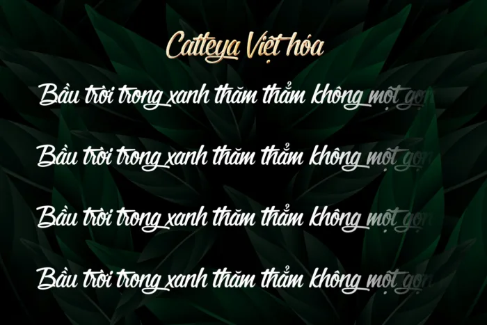 DVN - Catleya Signature Việt hóa: Font chữ ký tay sang trọng và tinh tế - Ảnh 3