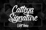 DVN - Catleya Signature Việt hóa: Font chữ ký tay sang trọng và tinh tế