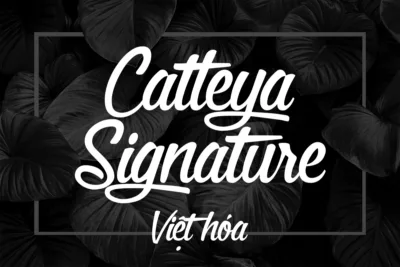 catteya