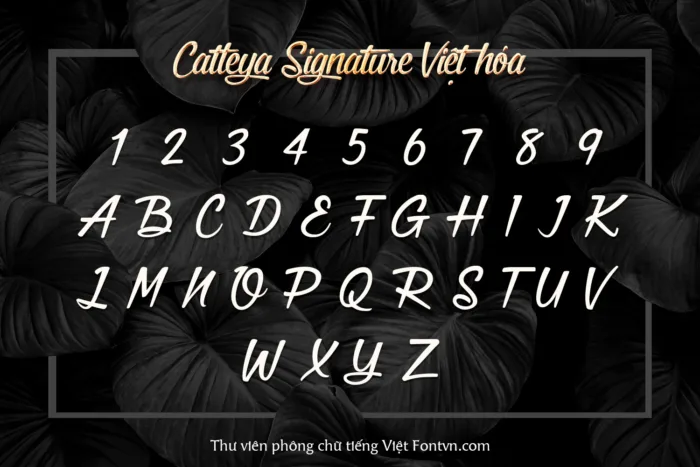 DVN - Catleya Signature Việt hóa: Font chữ ký tay sang trọng và tinh tế - Ảnh 2