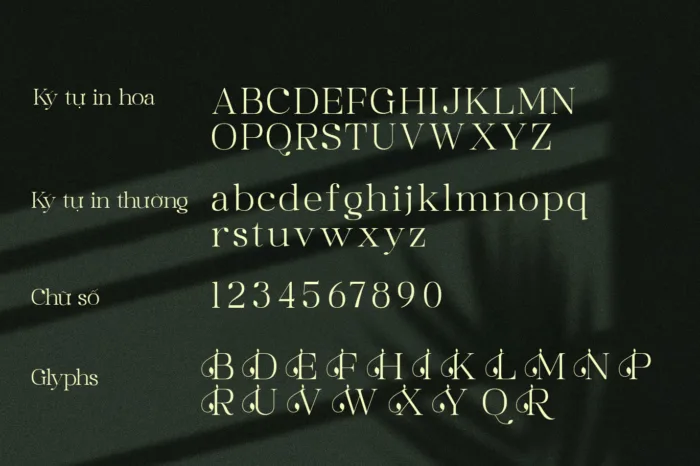 DVN Basly tiếng Việt - Font chữ Thanh lịch & Thời thượng cho thiết kế cao cấp - Ảnh 2