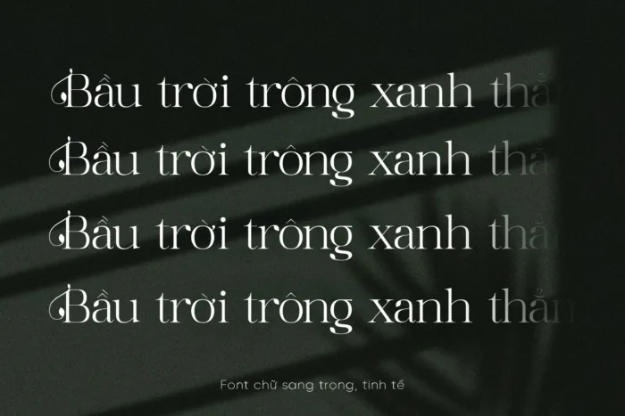 DVN Basly tiếng Việt - Font chữ Thanh lịch & Thời thượng cho thiết kế cao cấp - Ảnh 5