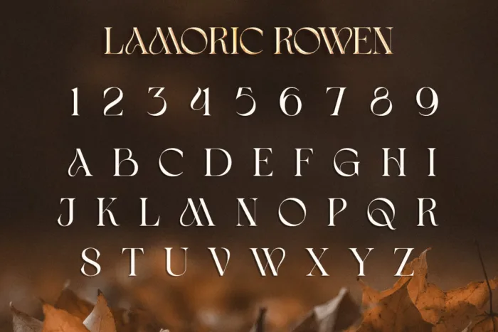 DVN Lamoric Rowen Việt hóa - Font chữ uốn lượn cách điệu thanh lịch, tự nhiên và đầy cá tính - Ảnh 3