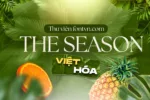 DVN The Seasons Việt hóa - Font chữ phù hợp cho thương hiệu sang trọng, mỹ phẩm