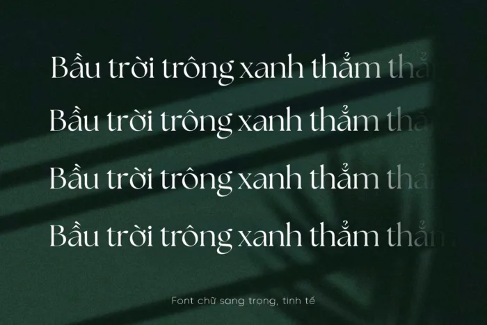 DVN The Seasons Việt hóa - Font chữ phù hợp cho thương hiệu sang trọng, mỹ phẩm - Ảnh 3