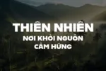 DVN Urban tiếng Việt - Font chữ đậm nét hiện đại, mạnh mẽ và ấn tượng - Ảnh 3