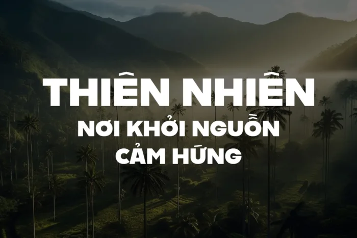 DVN Urban tiếng Việt - Font chữ đậm nét hiện đại, mạnh mẽ và ấn tượng - Ảnh 3