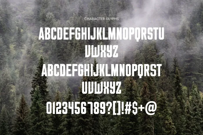 DVN Tokyo Việt hóa - Font chữ đậm chất đô thị, cá tính và hiện đại - Ảnh 2