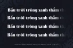DVN Mose tiếng Việt - Font serif đậm, hiện đại mang nét thanh lịch và uy quyền - Ảnh 3