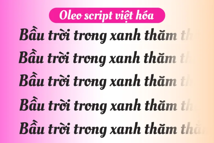 DVN Oleo Script Việt hóa - Font chữ viết tay tuyệt đẹp cho logo & tiêu đề - Ảnh 2