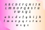 DVN Oleo Script Việt hóa - Font chữ viết tay tuyệt đẹp cho logo & tiêu đề - Ảnh 3