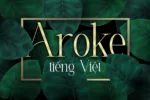 DVN Aroke tiếng Việt - Font chữ thanh mãnh và quyến rũ
